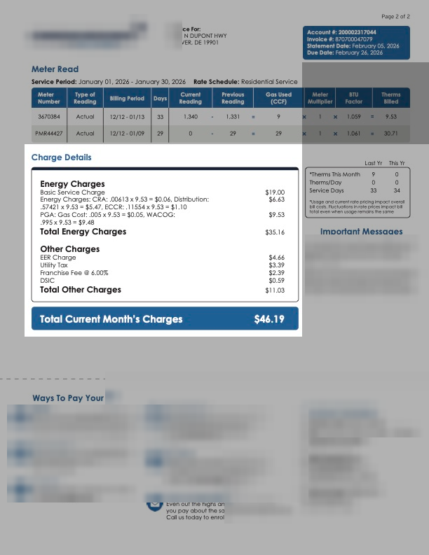 Charge Details section, gas utility type.